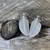 Silver kereru feather earrings