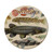 Freshwater fish coaster by Tanya Wolfcamp