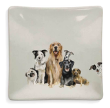 Best Friends Decorative Dish, 4.5"x4.5" Best Friends Decorative Dish, 4.5"x4.5"