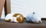 Dog and Cat Salt & Pepper Set Dog and Cat Salt & Pepper Set