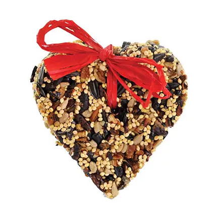 Little Heart Bird Seed Puck