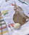 Spring Bunny, Set/2 Dishtowels