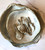 YNKS Ceramics "Oceanology" Shell Dish--CHOOSE SIZE