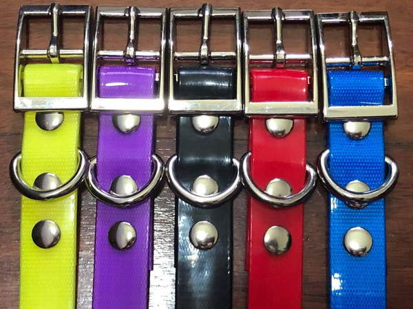 Dog, Puppy Collar Strap