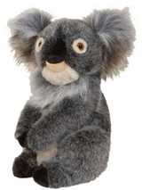Daphne Koala Headcover