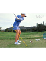SKLZ Pro Rods