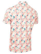 Calvin Klein Fletcher Printed Polo - Peach/Green
