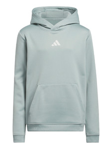 adidas Youth Climawarm Graphic Hoodie - Wonder Sage
