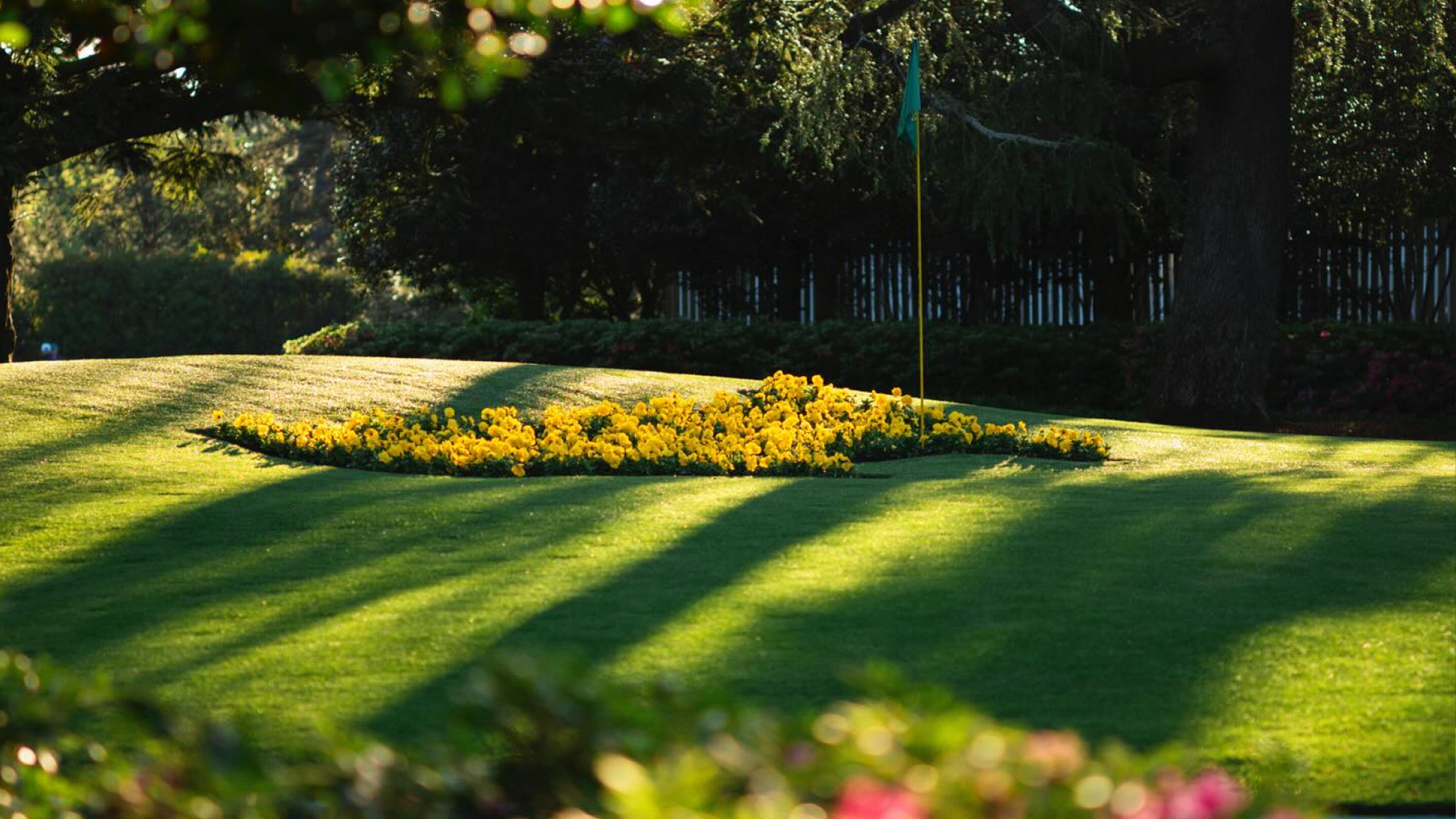 The Masters: Limited Releases 2025