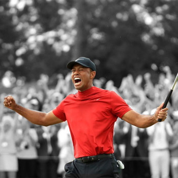 Tiger Woods - Rewriting History