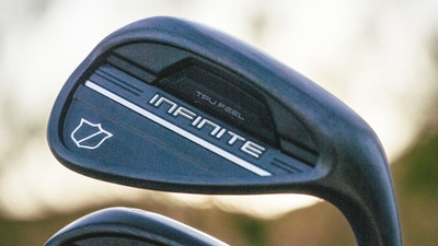 Wilson Infinite Wedges