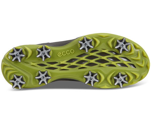 ecco biom g3 review