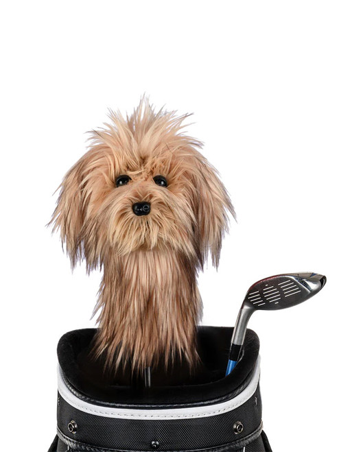 Daphne Scruffy Dog Headcover