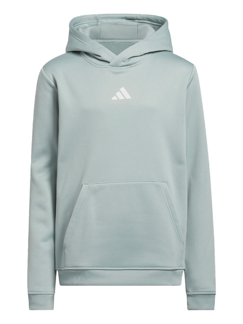 adidas Youth Climawarm Graphic Hoodie - Wonder Sage