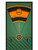 WellPutt 13ft Putting Mat - Green