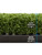 SimSpace Tee Turf Hitting Mat - 150cm x150cm