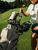 BagBoy CB-100 Cart Bag