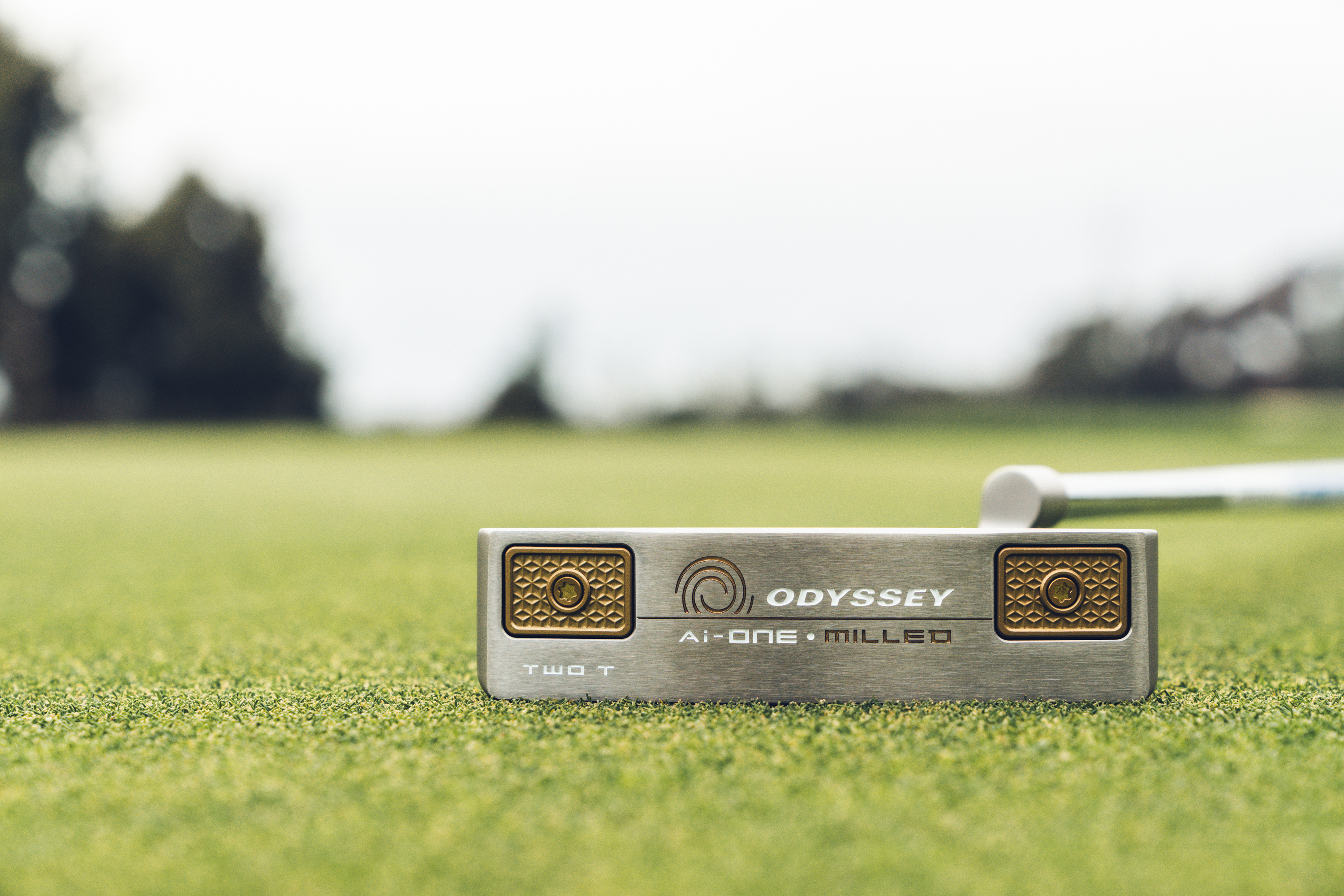 Odyssey Ai-ONE Milled Silver Putter - 2T | GolfBox
