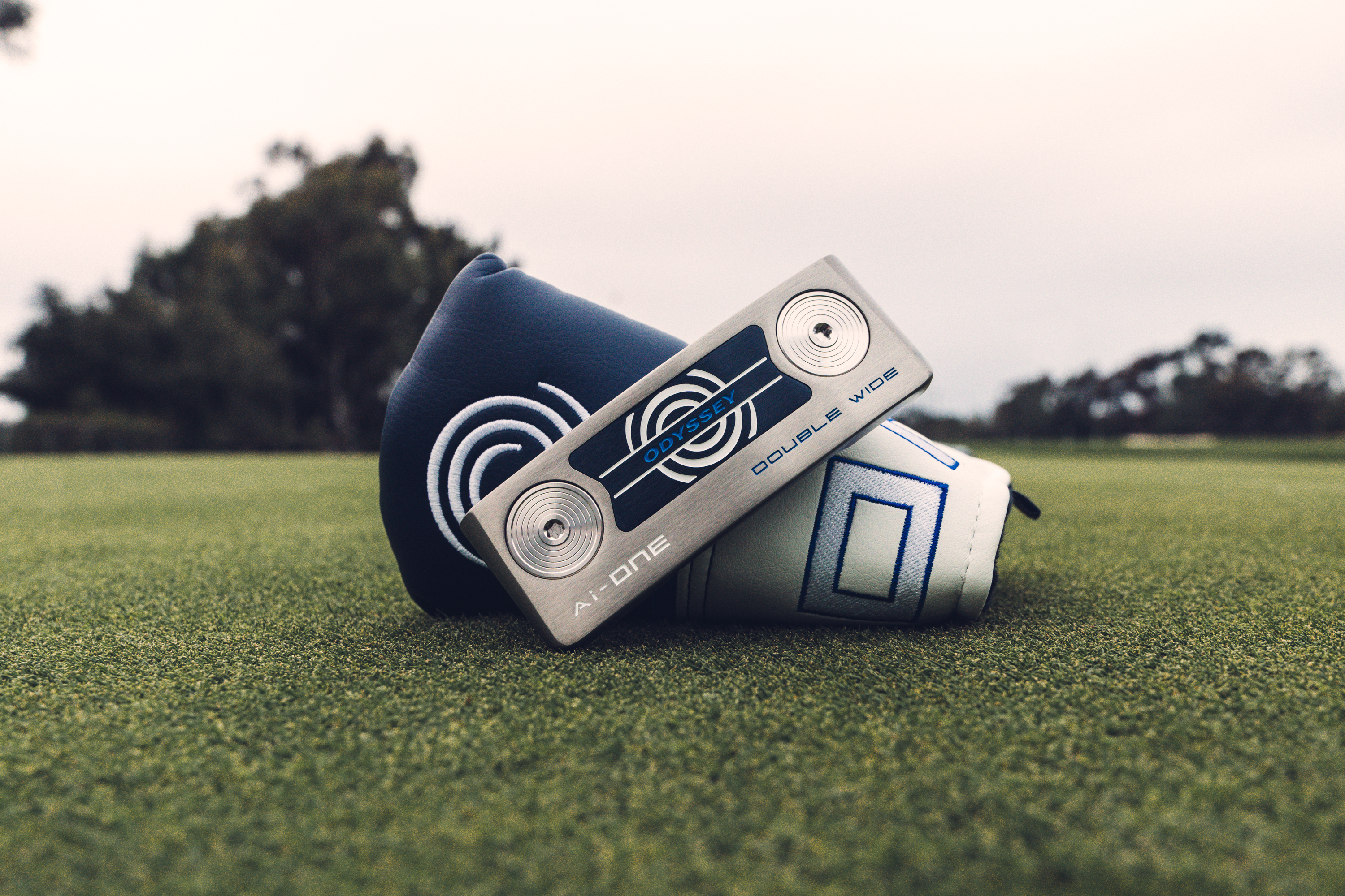 Odyssey Ai-ONE Silver Putter - Double Wide
