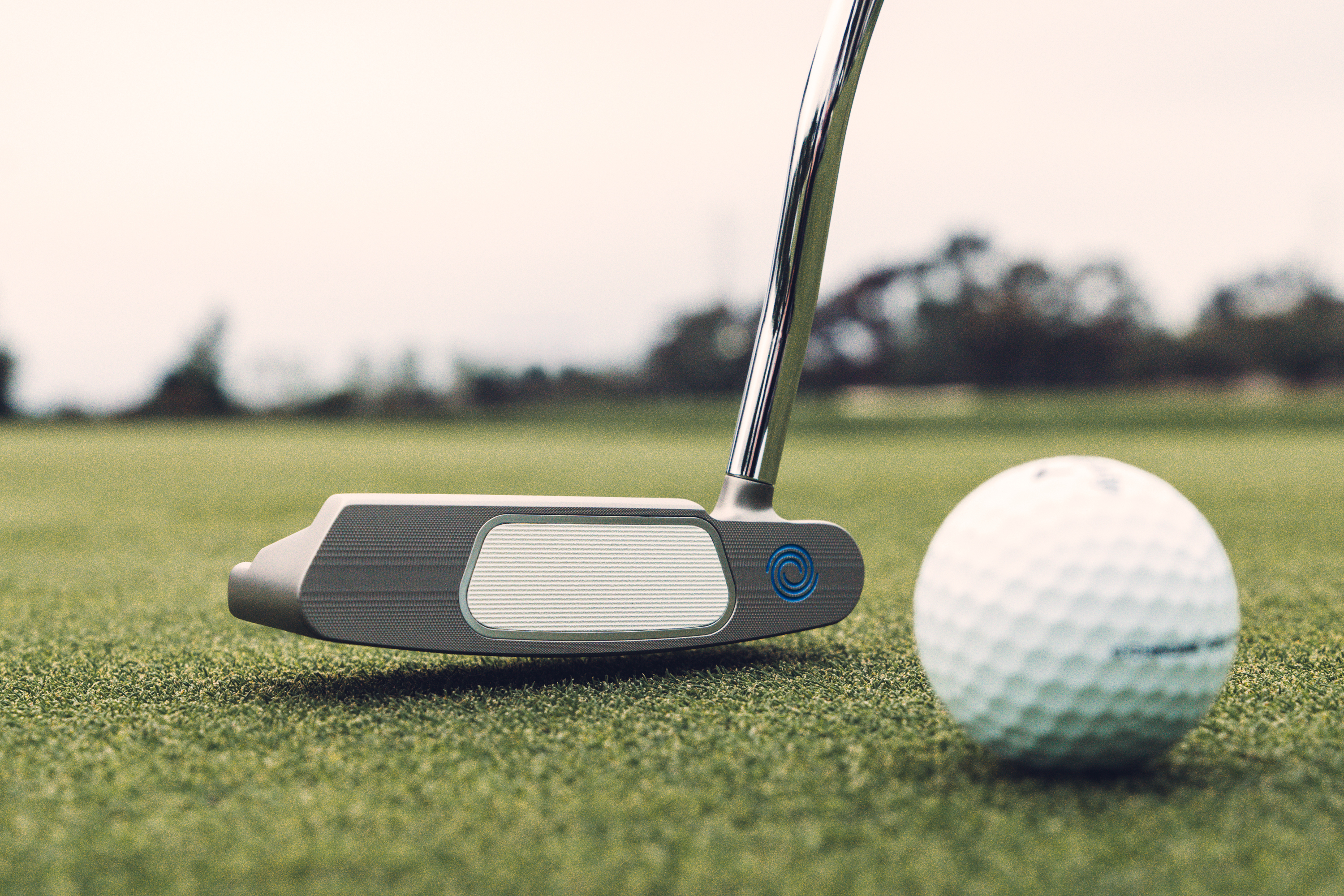 Odyssey Ai-ONE Silver Putter - Double Wide
