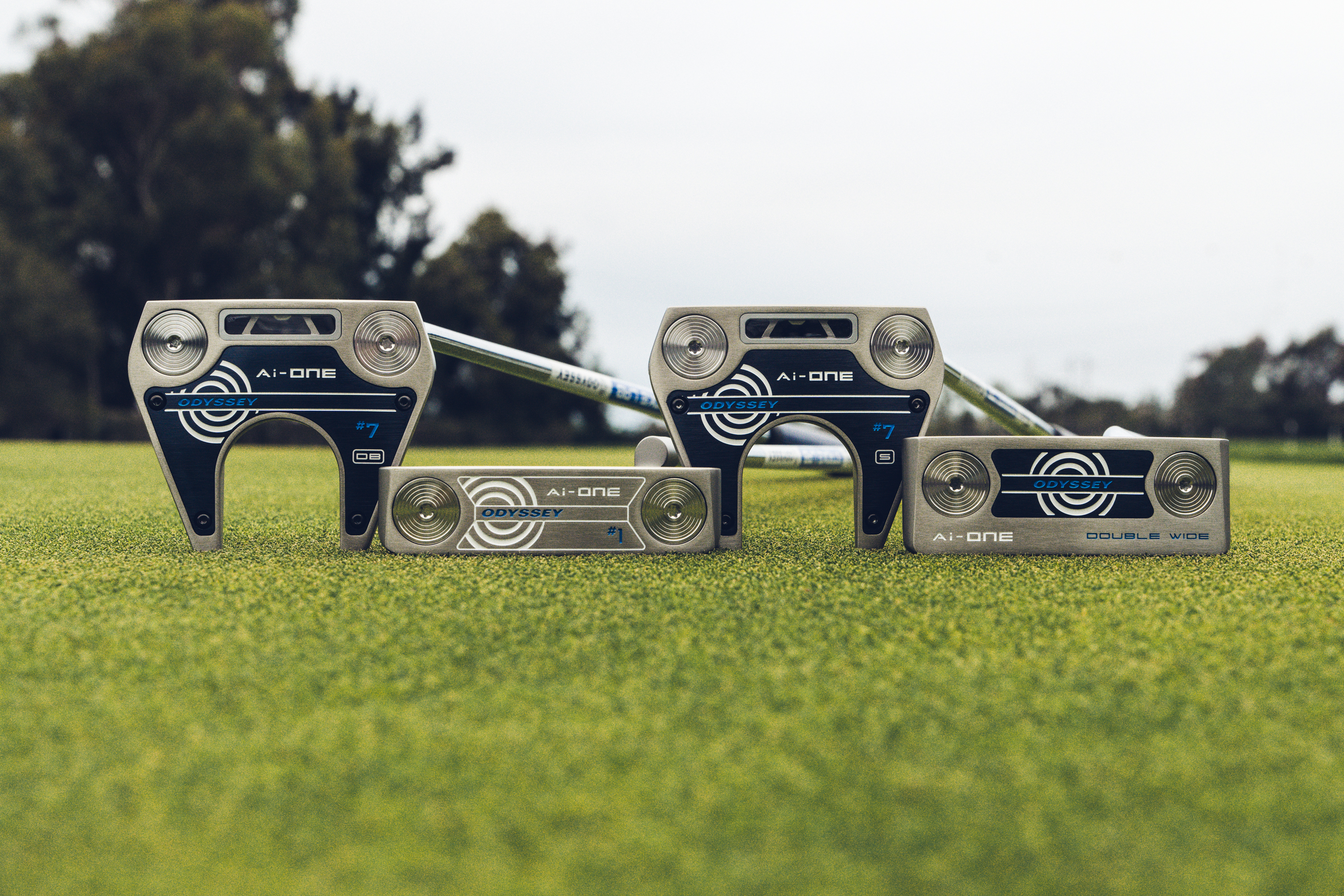 Odyssey Ai-ONE Silver Putter - 1CH | GolfBox