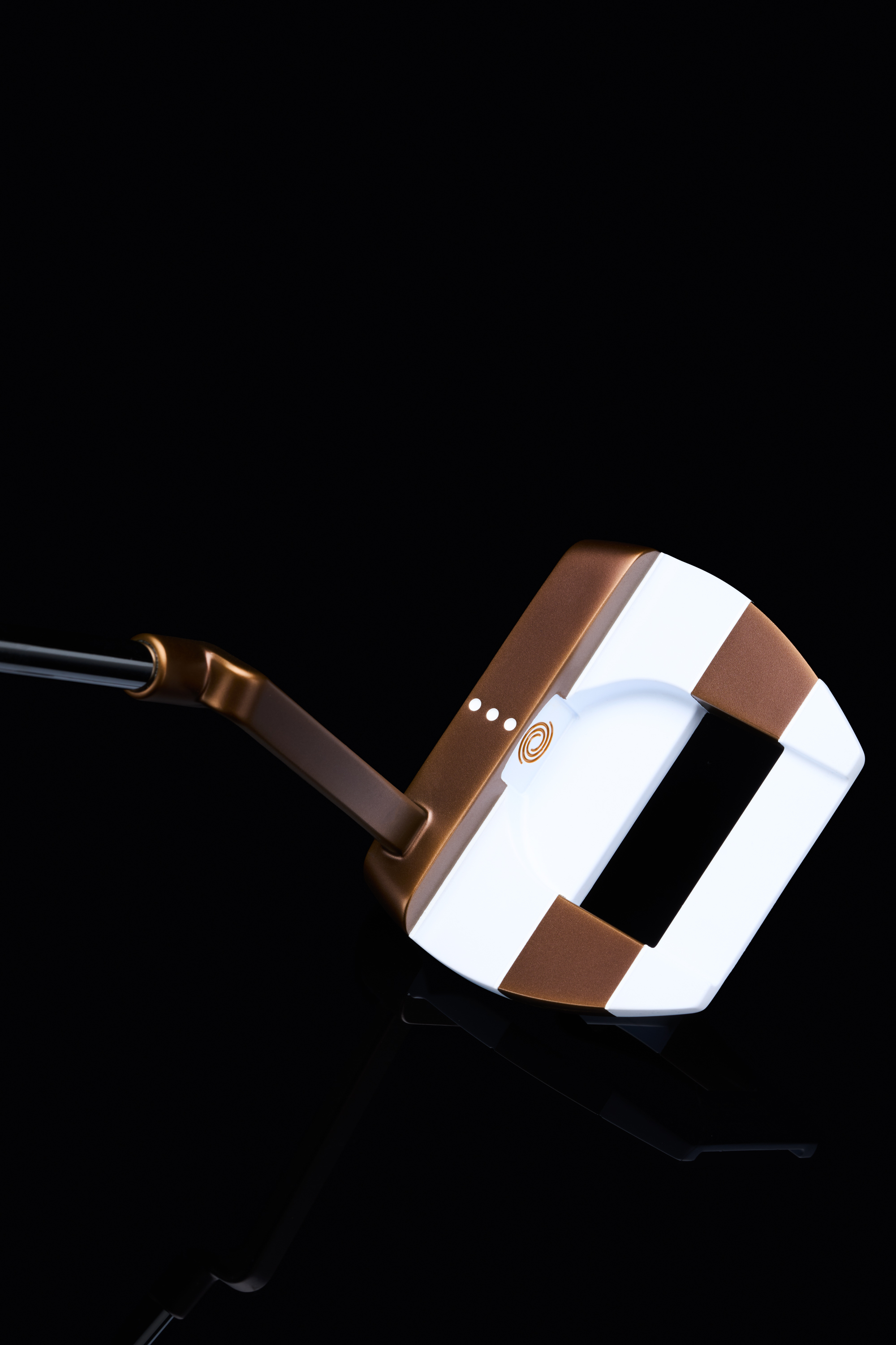 クラブ Ai-ONE GIRAFFE-BEAM JAILBIRD MINI Ai-ONE Giraffe Beam Jailbird Mini Putter