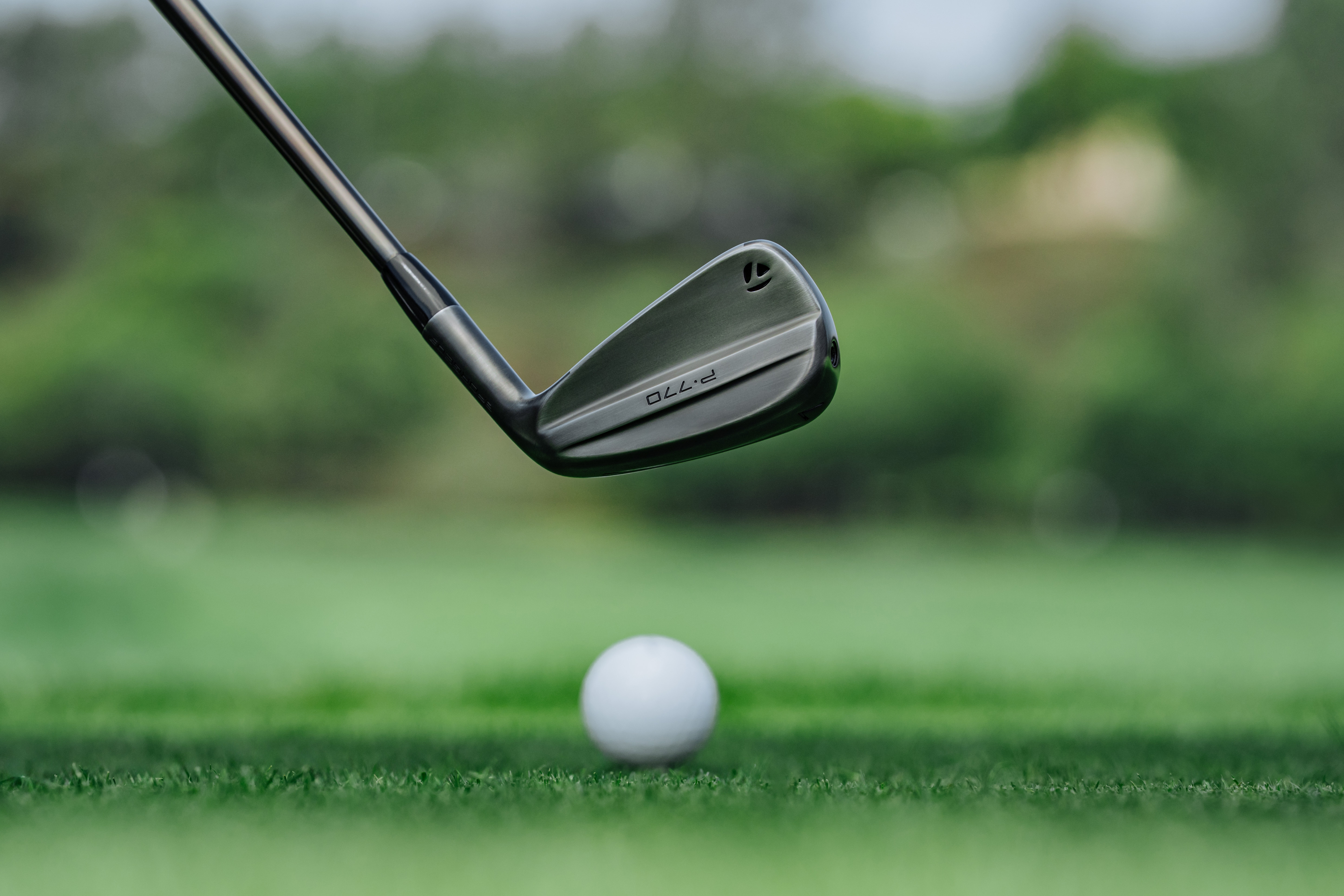 TaylorMade P770 Designer Series Irons - Steel Shaft 4-PW