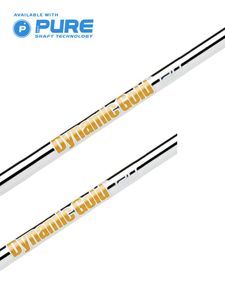 True Temper Dynamic Gold 120 .355 Shaft | GolfBox