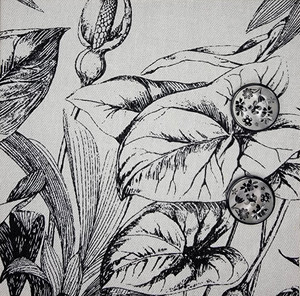 WST: White and Black Botanical with 6 Floral Imitation Buttons DO NOT ADD TO CART