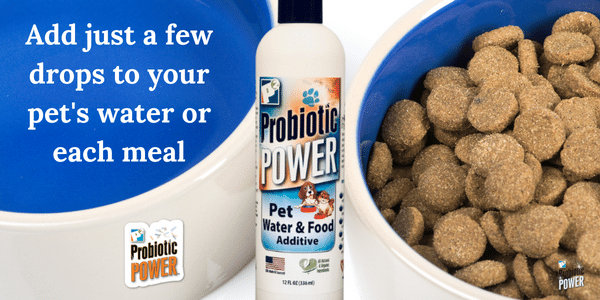 Image of P2's Pet Water Additive for pet water bowl & food bowl