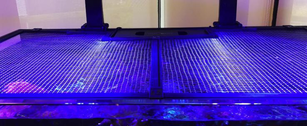 Tank Net Screen 36" (R42081)