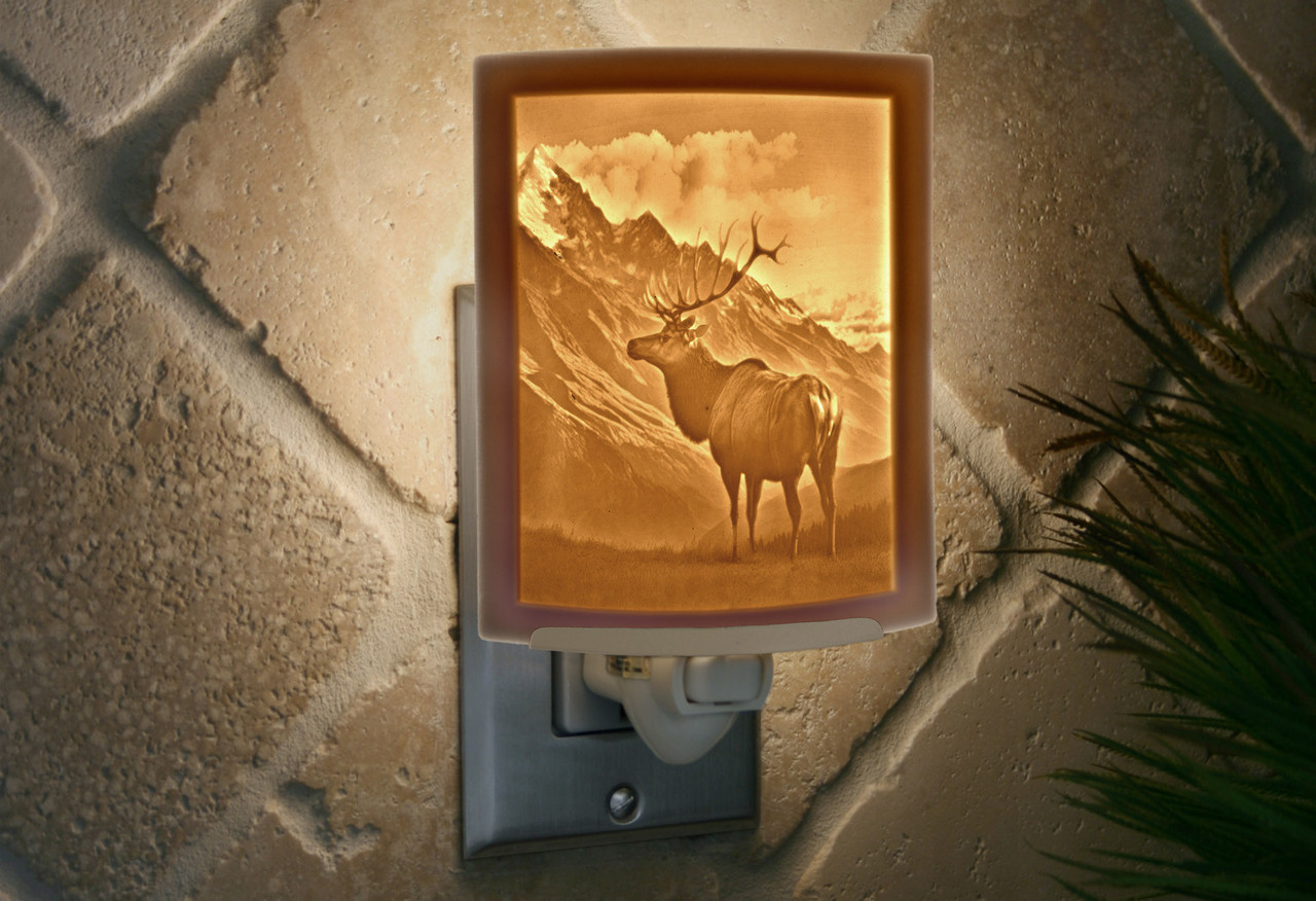 ELK night light nr342