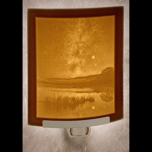 the porcelain garden lithophane night light