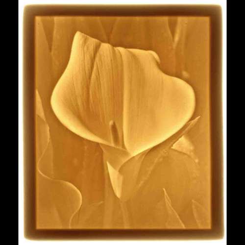 CALLA LILY-U159-REPLACEMENT PANEL ONLY