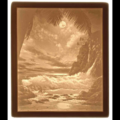 TROPICAL MOONLIGHT-U170-REPLACEMENT PANEL ONLY