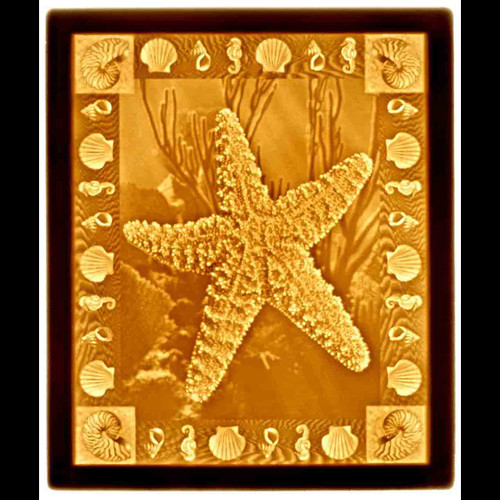 STARFISH-U185-REPLACEMENT PANEL ONLY