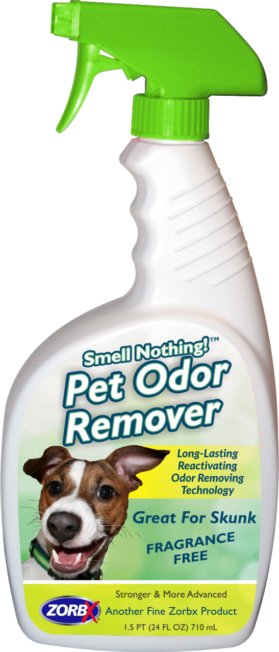 dog car ramp petsmart