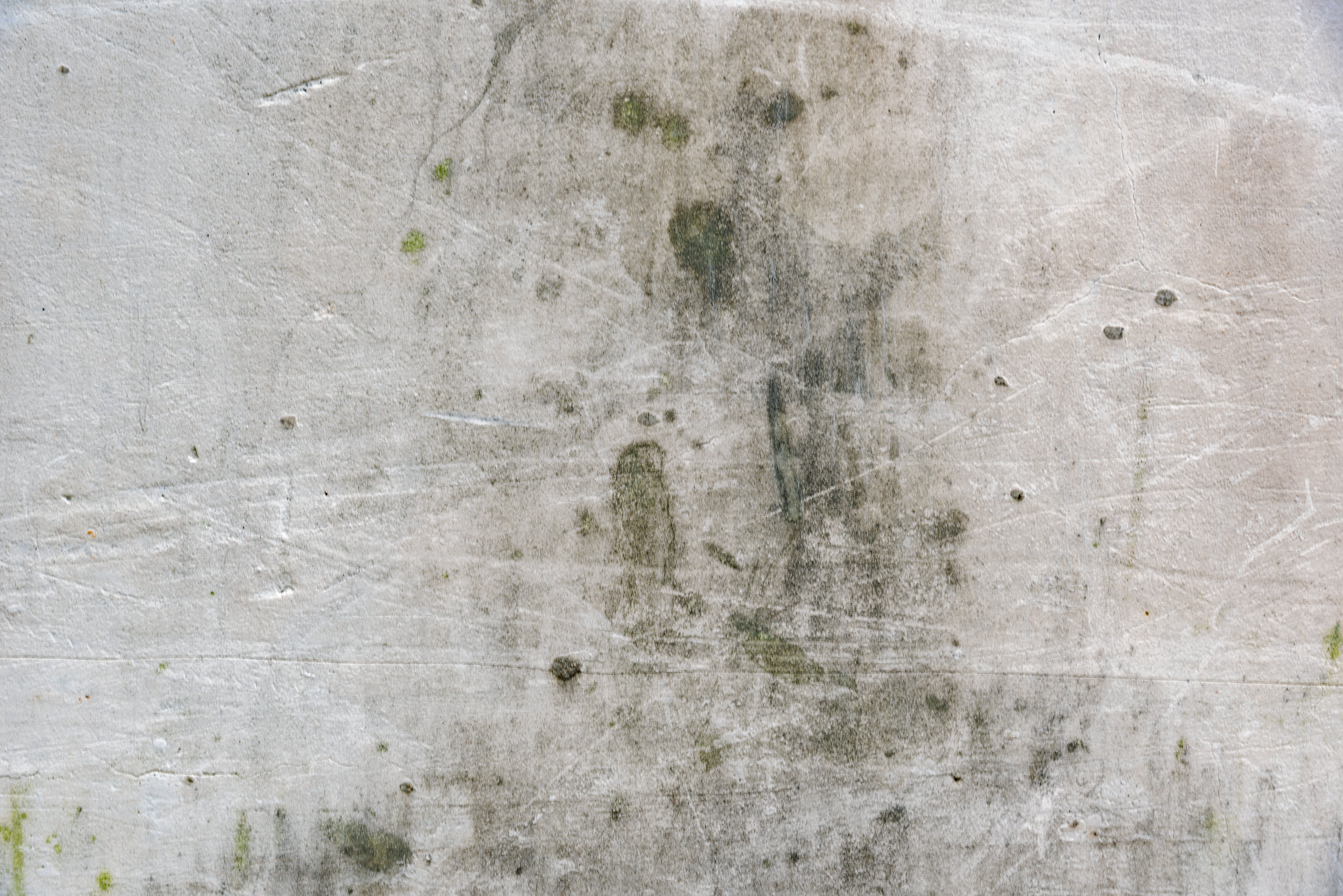 ZORBX Mold & Mildew - The Multi Surface Cleaner That Works!