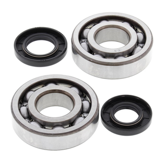 ALL BALLS 24-1010 Crank Bearing & Seal Kit KX250 87-01/KDX250 91-94