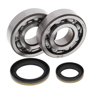 ALL BALLS 24-1021 Crank Bearing & Seal Kit RM250 96-02