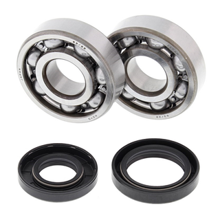 ALL BALLS 24-1025 Crank Bearing & Seal Kit YZ125 01-04