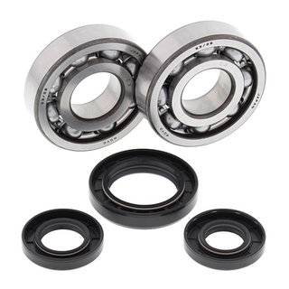 ALL BALLS 24-1028 Crank Bearing & Seal Kit YZ250 98-00