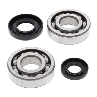 ALL BALLS 24-1029 Crank Bearing & Seal Kit YZ250 01-24/YZ250X 16-24