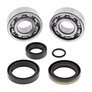 ALL BALLS 24-1099 Crank Bearing & Seal Kit SX50 09-23/TC50 17-23