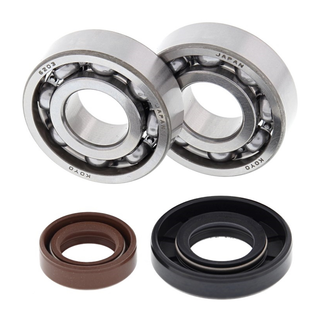 ALL BALLS 24-1101 Crank Bearing & Seal Kit SX PRO JR/SR 50 02-08