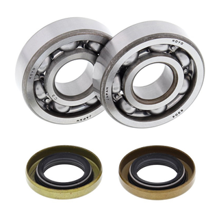ALL BALLS 24-1102 Crank Bearing & Seal Kit SX60/65 98-08/CR65 2012