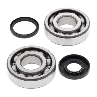 ALL BALLS 24-1107 Crank Bearing & Seal Kit CR/WR125 98-99