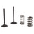 ProX Steel Intake Valve/Spring Kit CRF250R 04-07 + CRF250X