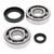 ALL BALLS 24-1004 Crank Bearing & Seal Kit CR250 84-91/CR500 84-01