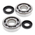 ALL BALLS 24-1010 Crank Bearing & Seal Kit KX250 87-01/KDX250 91-94